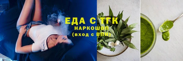 индика Киреевск
