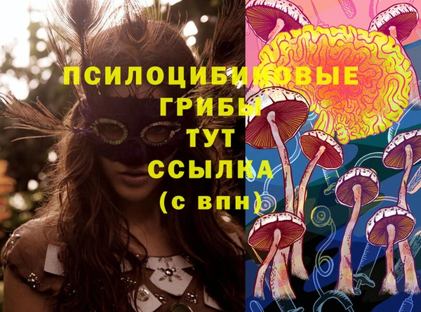 альфа пвп Семикаракорск