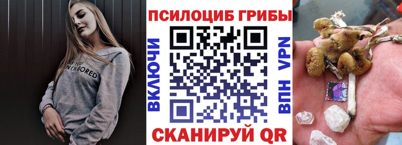 Псилоцибиновые грибы мицелий  Каргат 