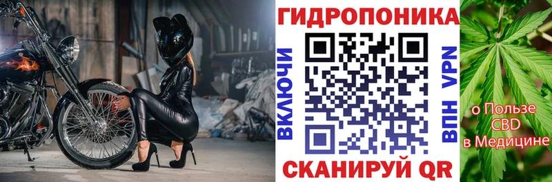 Бошки Шишки White Widow  купить  цена  Каргат 